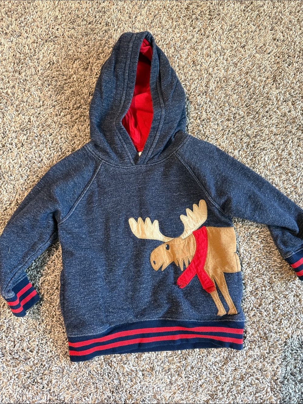 Gymboree Kids Navy Hoodie with Moose Applique - Red Accent